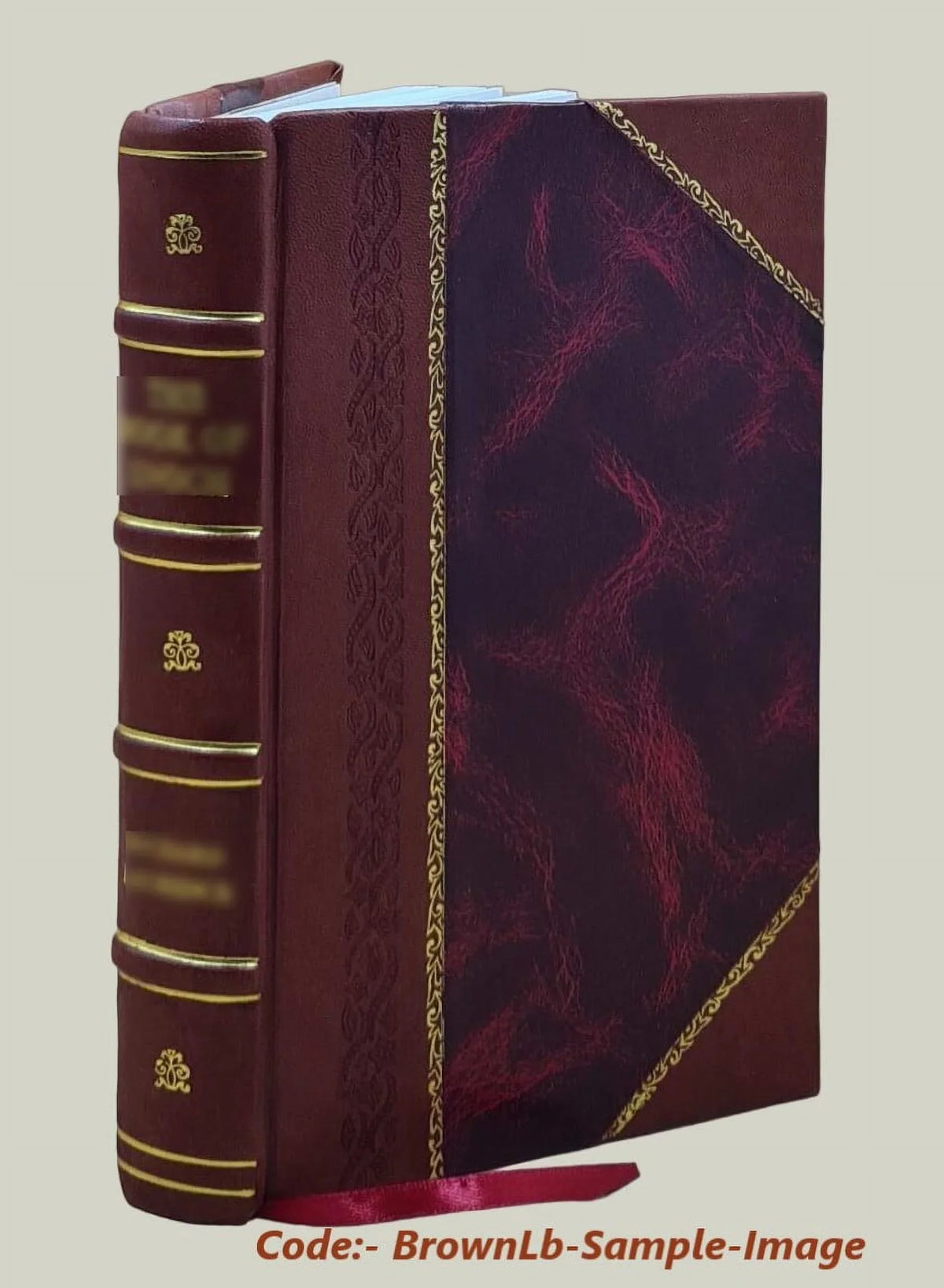 1896 [Leather Bound]. Noqu talanoa : stories from the South Seas / by Sundowner