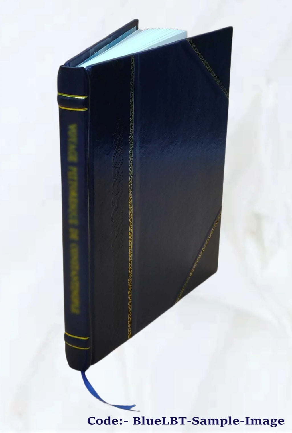 1934 [Leather Bound]. Brown; a new lease on life. Rescue from chaos, by J.B