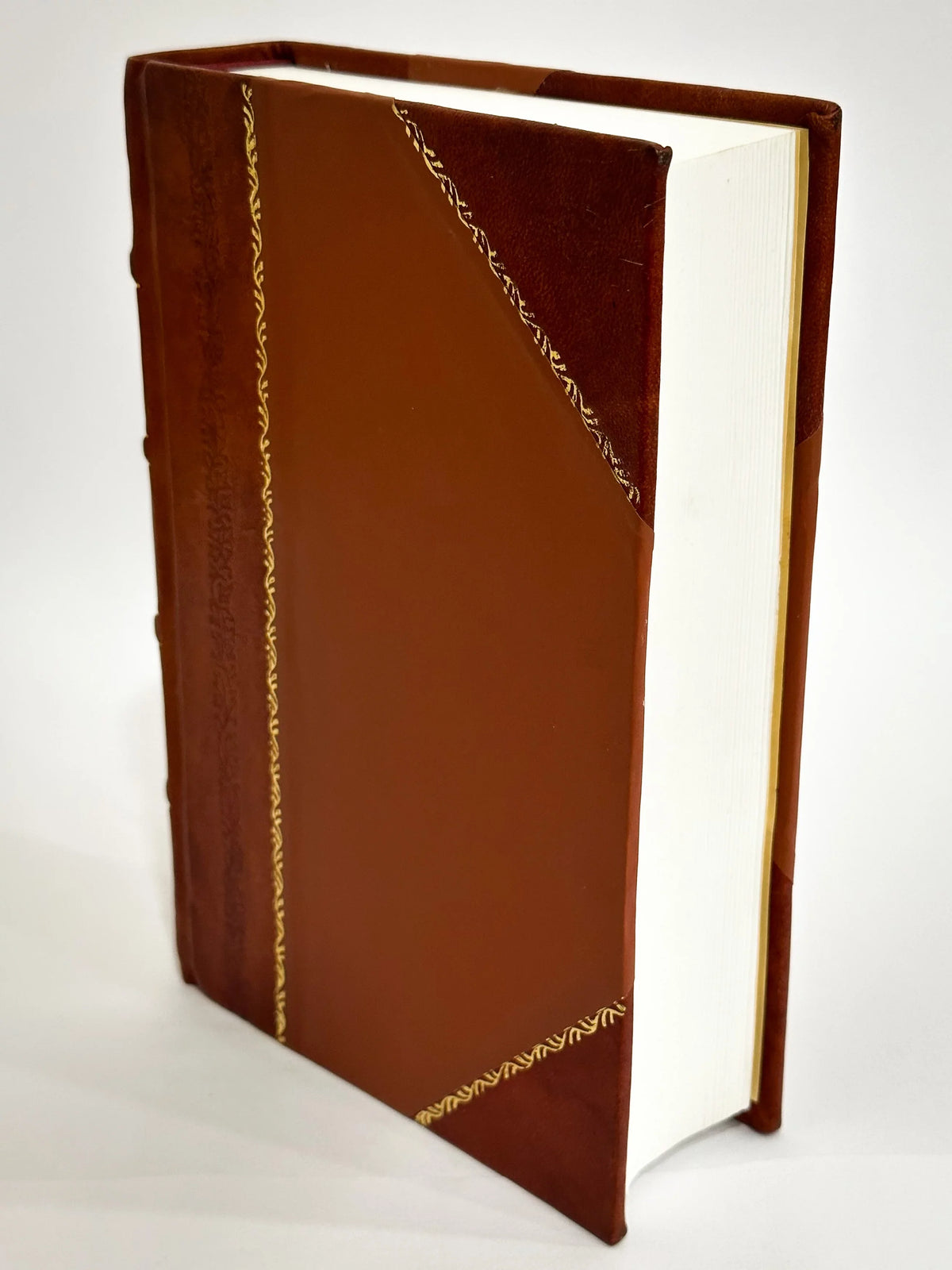 Picturesque America; Or, The Land We Live in : a Delineation by Pen and Pencil of the Mountains, Rivers, Lakes, Forests, moisture-Falls, Shores, CanOns, Valleys, Cities, (1872) Volume 1 [Leather Bound]