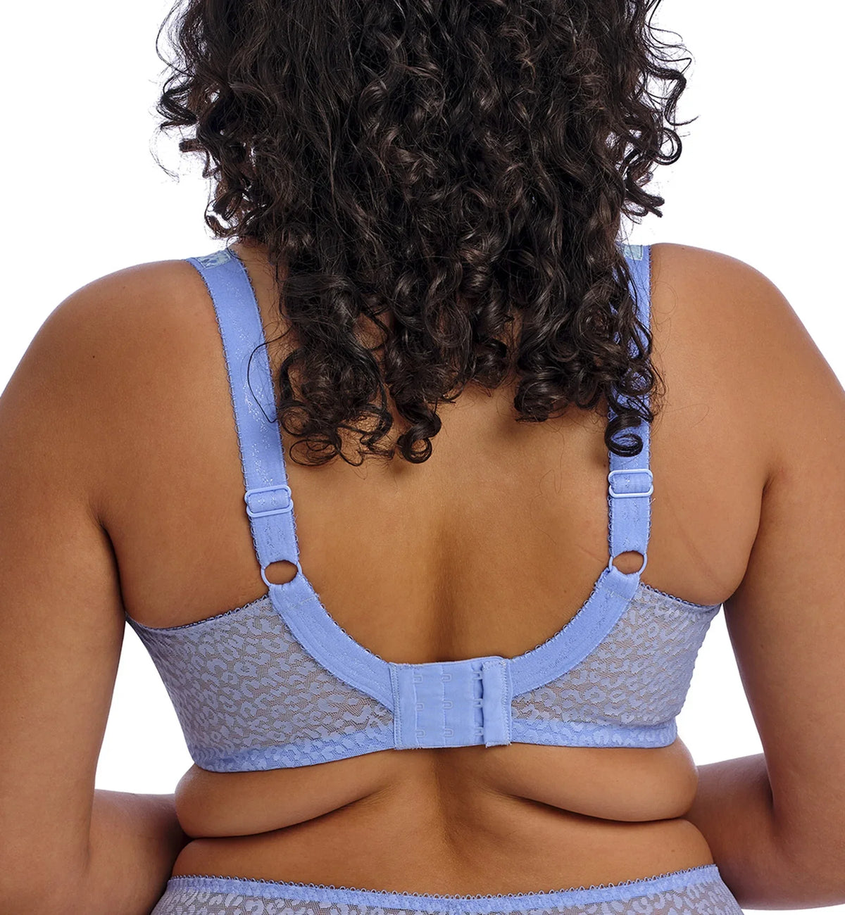 Elomi Lucie Banded Stretch Lace Plunge Underwire Bra (4490),42DD,Cornflower