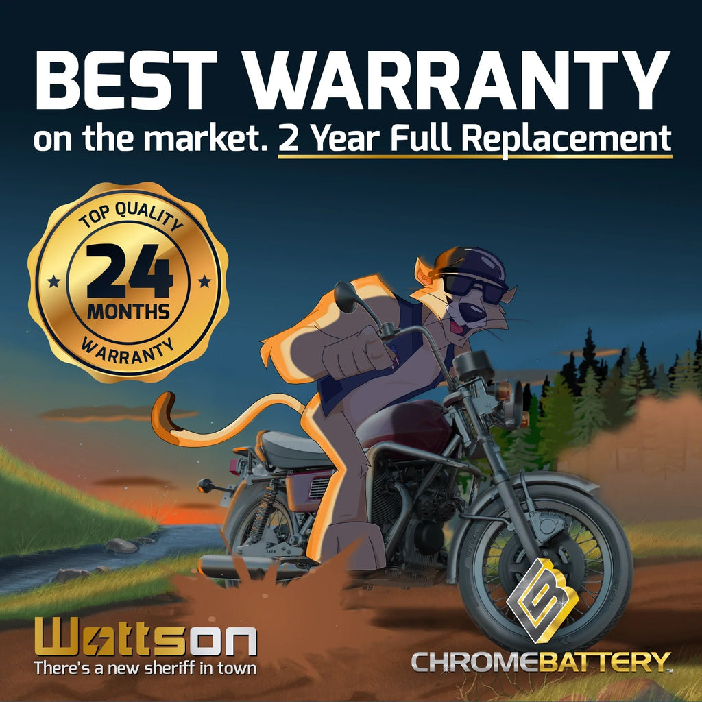 Chrome Battery YTX14AHL-BS (14AHL-BS 12 Volt,12 Ah, 210 CCA) Motorcycle Battery for Suzuki 1100cc Gsx-r1100 1990
