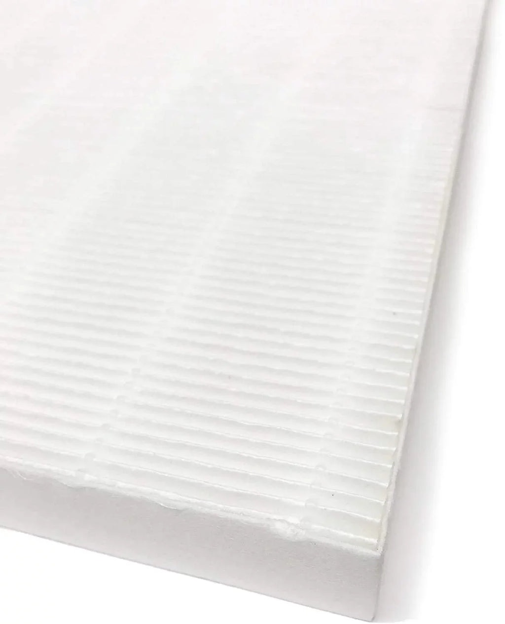 2 Packs. HEPA Air Filter appropriate With Fellowes AeraMax 200 Purifier Model 190/200/DB55/DX55