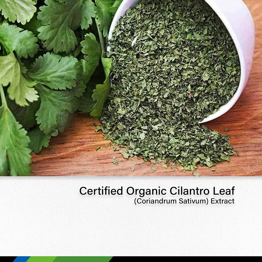 Oz. MAUWE HERBS Cilantro Supplement - Organic Cilantro Leaf Liquid Extract - Coriandrum Sativum Drops for Body Cleansing & Detox - Cilantro Tincture Alcohol Free 2 fl