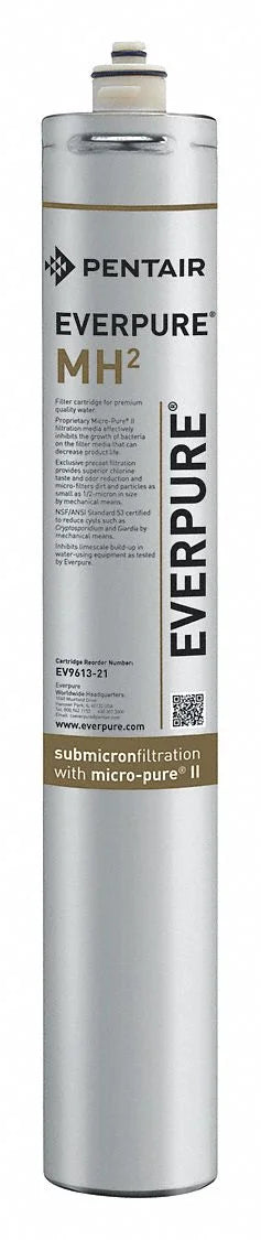 Everpure EV961321 Cartridge aqua Filtration System